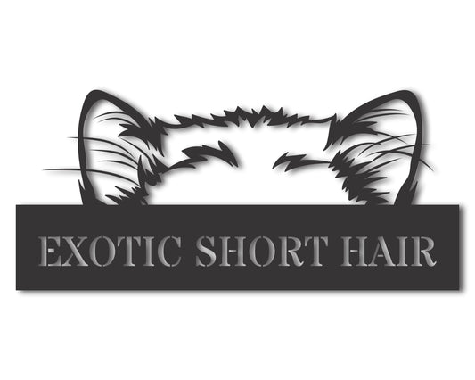 Custom Metal Exotic Short Hair Cat Wall Art - Metal Cat Breed Sign - 20+ Color Options - Up to 46"