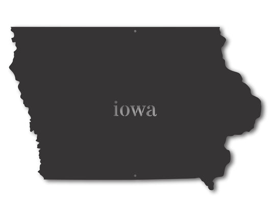 Metal Iowa Wall Art - Custom Metal US State Sign - 20+ Color Options